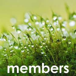 Membership Garden Club
